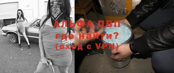 прущие грибы Абдулино