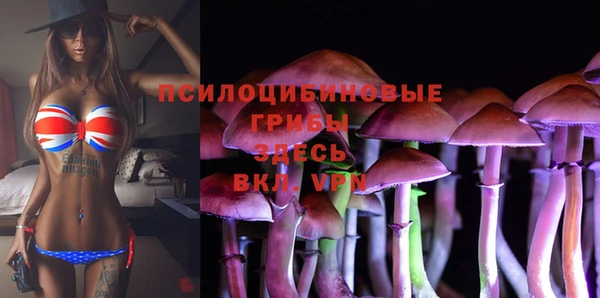 прущие грибы Абдулино
