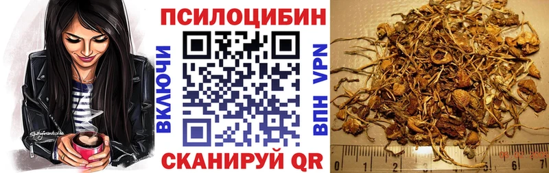 как найти   Нижнекамск  Псилоцибиновые грибы мицелий 